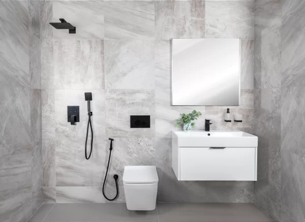 Zephr Wall Mounted WC