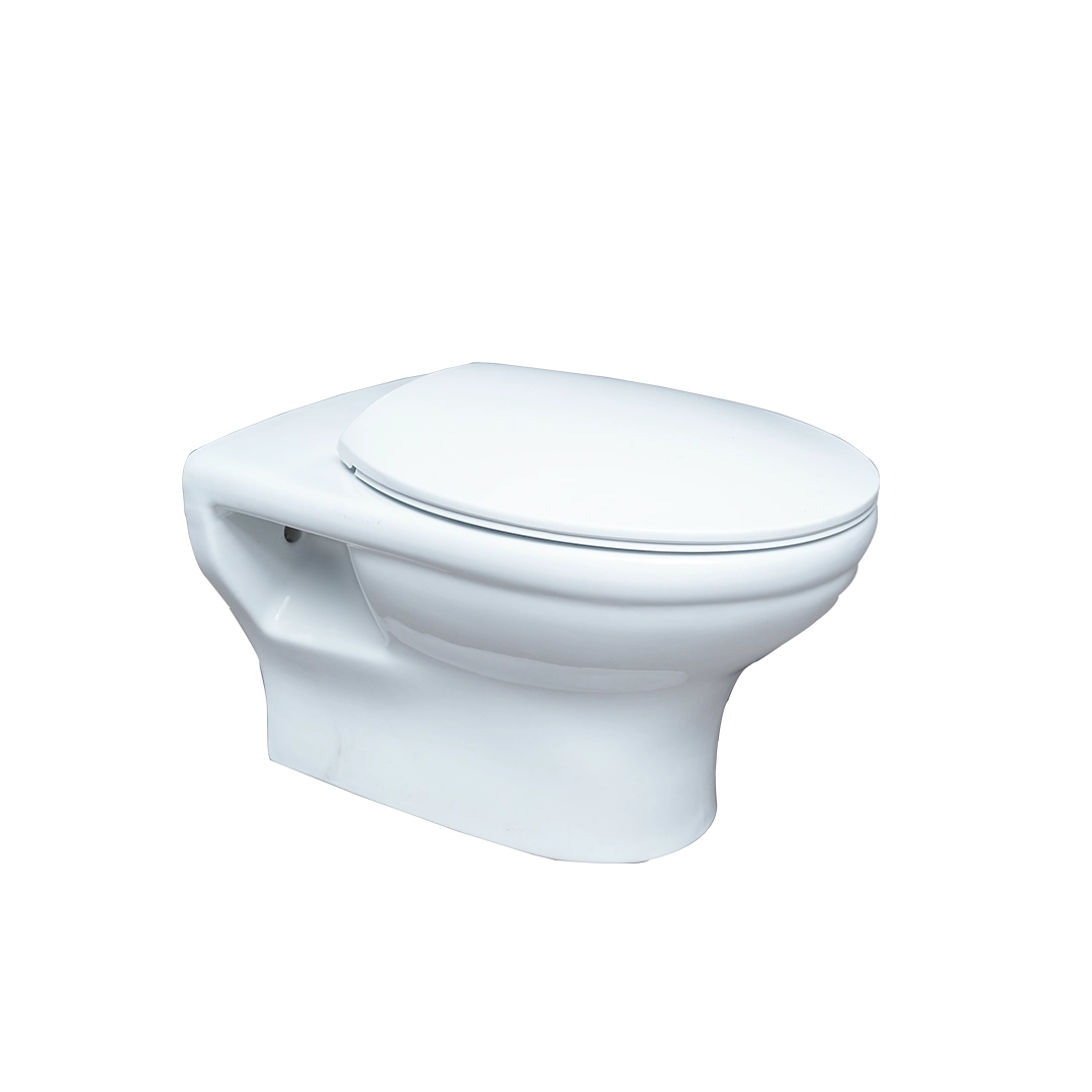 Decente Wall Mounted Rimless WC with Saet Cover