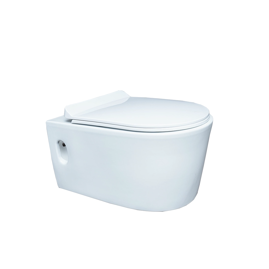 Bellezza Wall Mounted Rimless WC with Saet Cover
