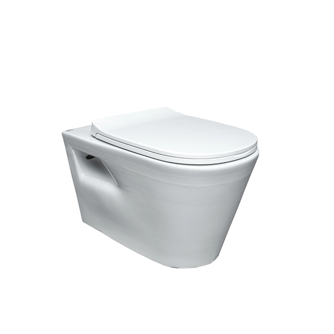 Vera Round Wall Mounted Rimless WC with Saet Cover