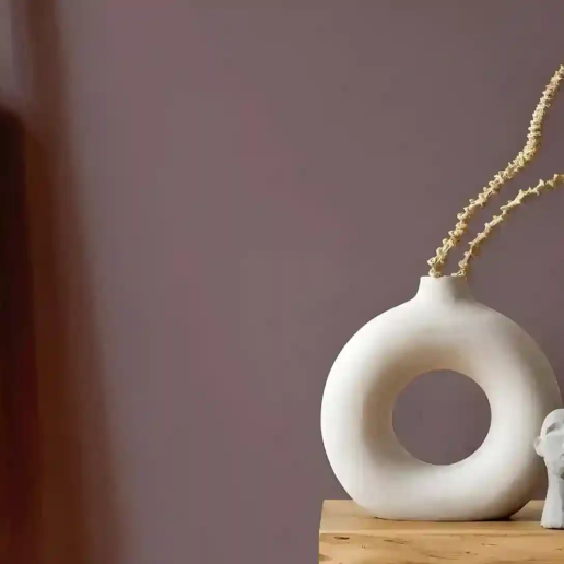 Cinnamon Slate Benjamin moore color of the year