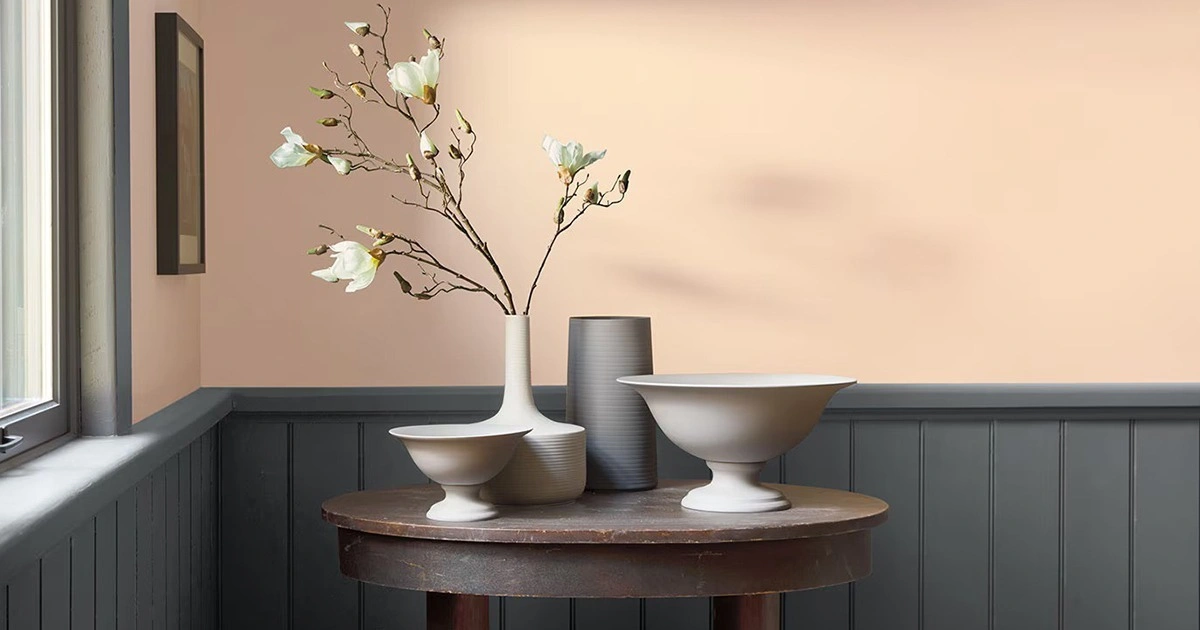 interior paint to last in humid climates